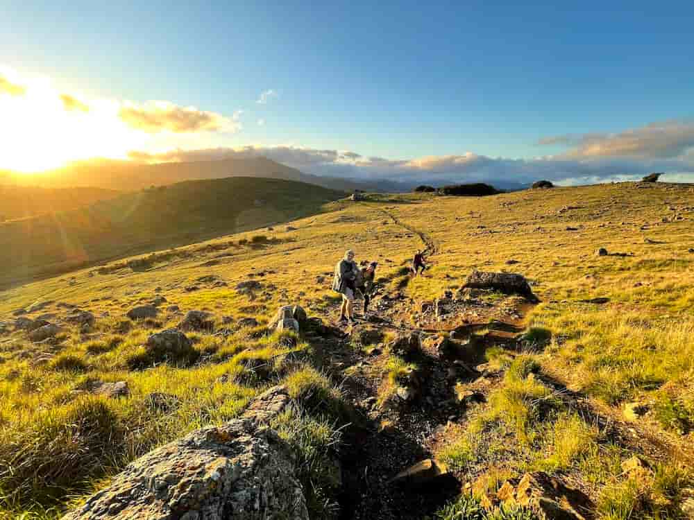 ring-mountain-trail-tiburon-california