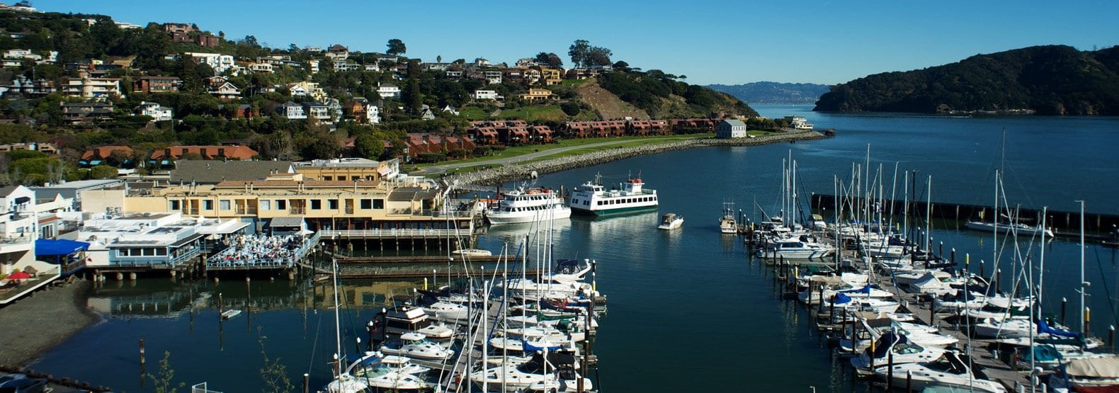 Tiburon ferry landing on San Francisco Bay.